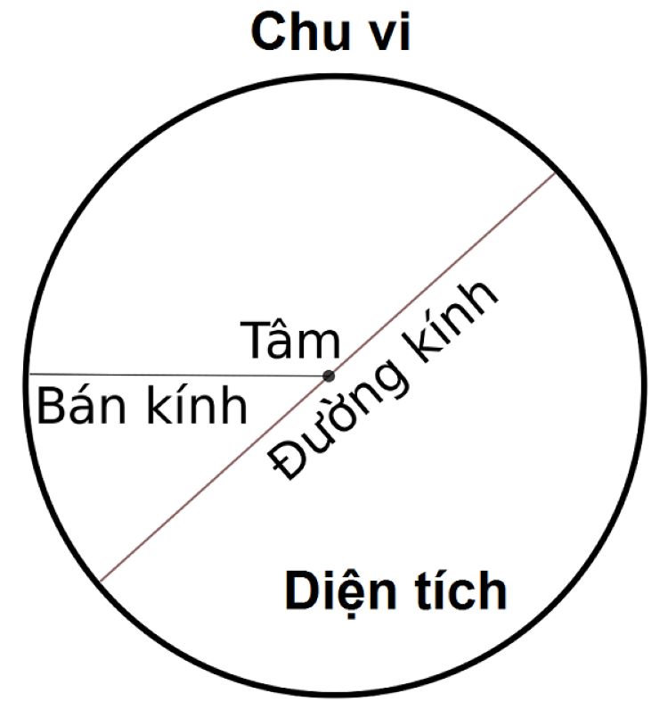 Chu vi hình tròn lớp 5